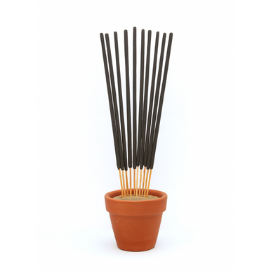 Night Queen Exotic Incense Bundle
