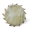 Sakara Drum