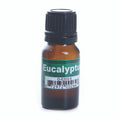 Eucalyptus Essential Oil - ⅓ oz (10 ml)